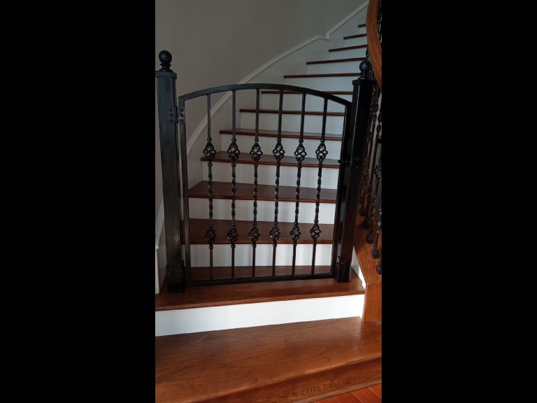 custom-wrought-iron-security-doors-gates-orange-tx-8
